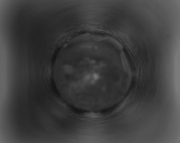 X0000095670511200801081211