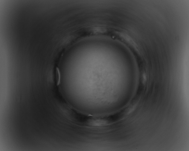 X0000095670512200801081211