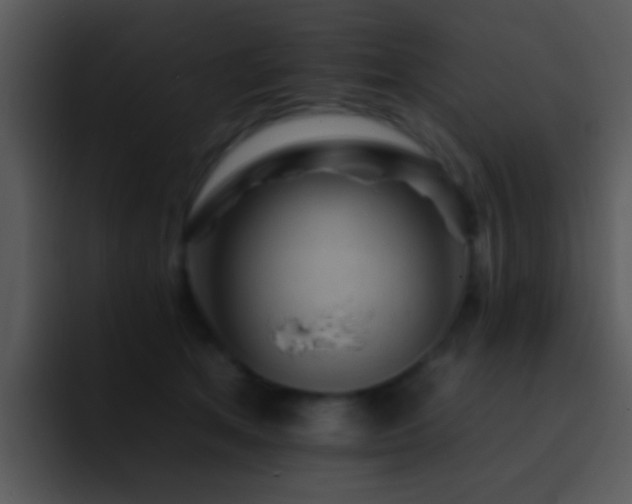 X0000095670513200801081211