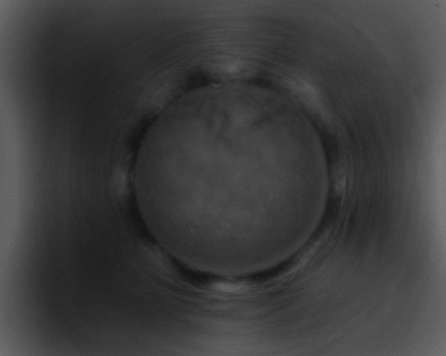 X0000095670515200801081211