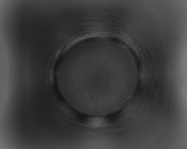 X0000095670516200801081211