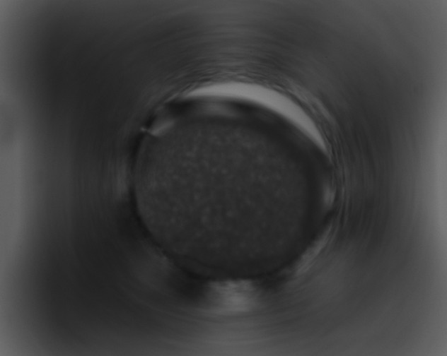 X0000095670517200801081211