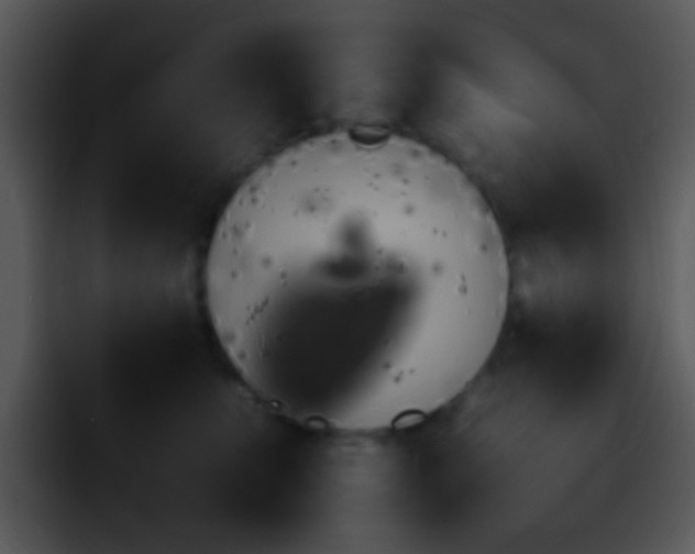 X0000095670519200801081211