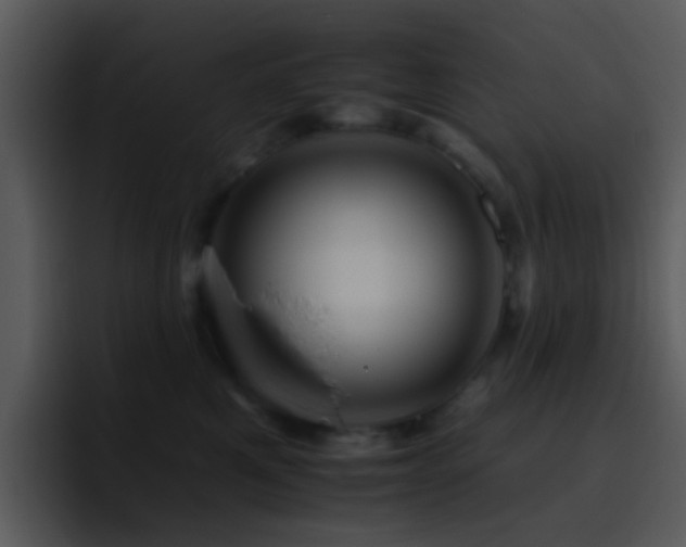 X0000095670521200801081211