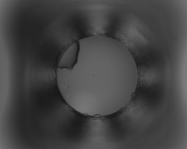 X0000095670523200801081211