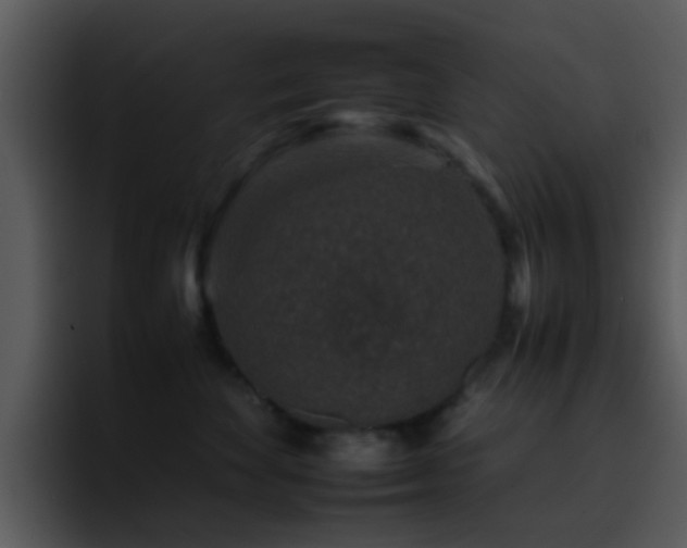 X0000095670524200801081211