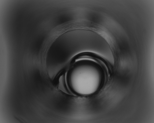 X0000095670525200801081211