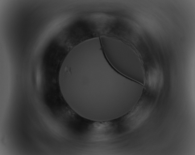 X0000095670526200801081211