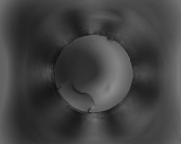 X0000095670527200801081211