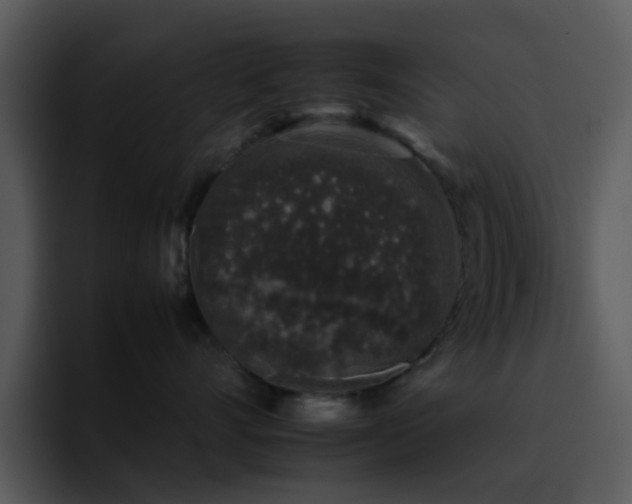 X0000095670528200801081211