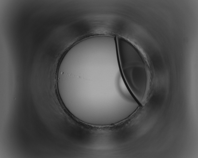 X0000095670529200801081210