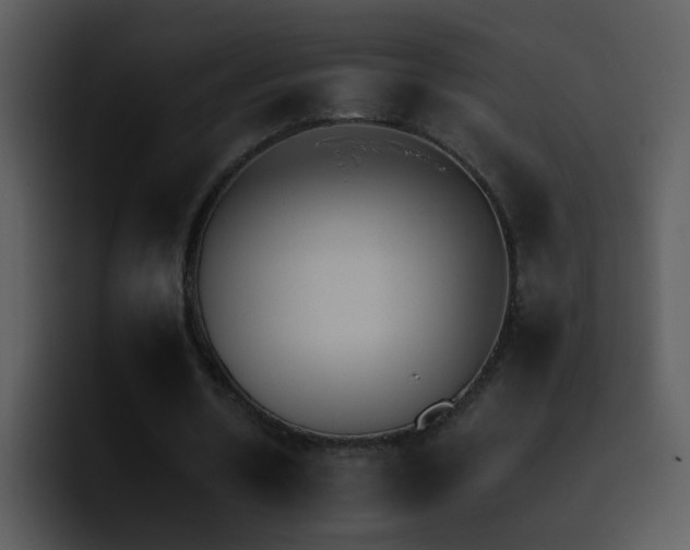 X0000095670530200801081210