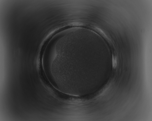 X0000095670531200801081210