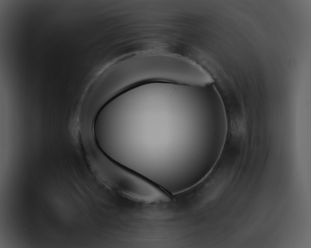 X0000095670532200801081210
