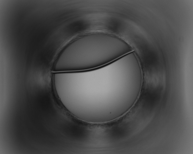 X0000095670533200801081210