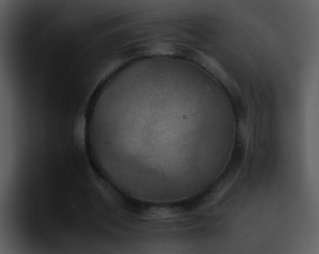 X0000095670534200801081210