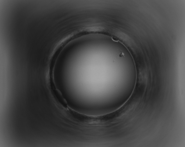 X0000095670535200801081210