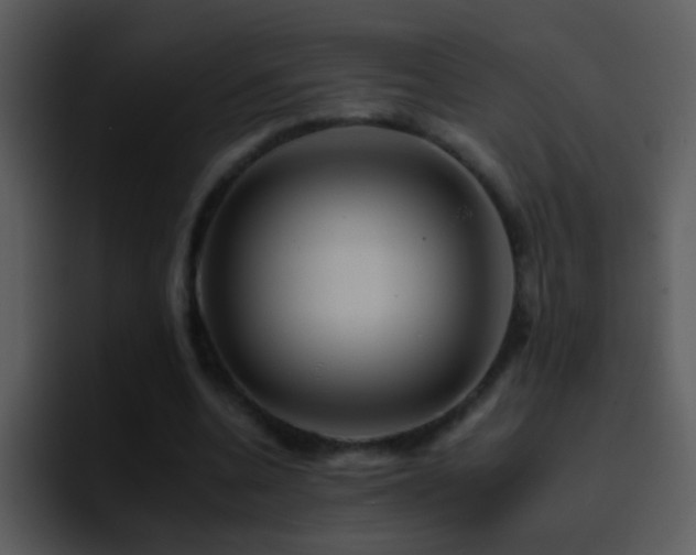 X0000095670536200801081210