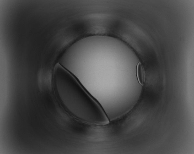 X0000095670538200801081210