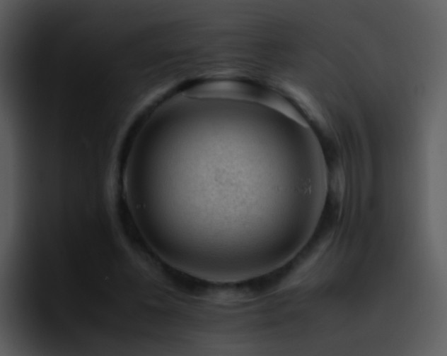 X0000095670540200801081210