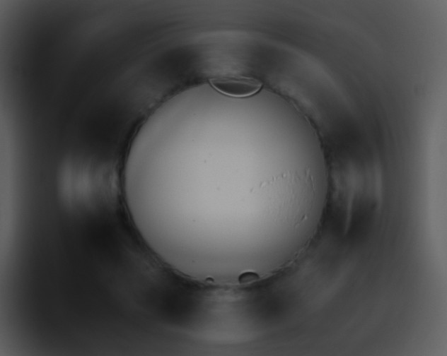 X0000095670541200801081210