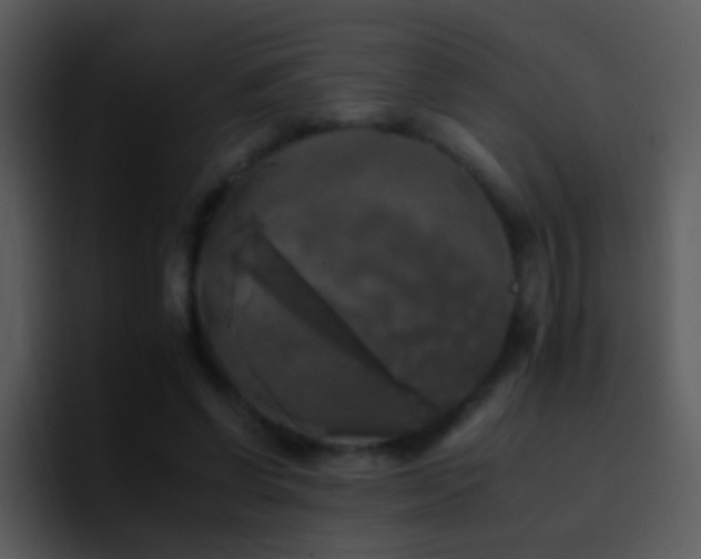 X0000095670542200801081210