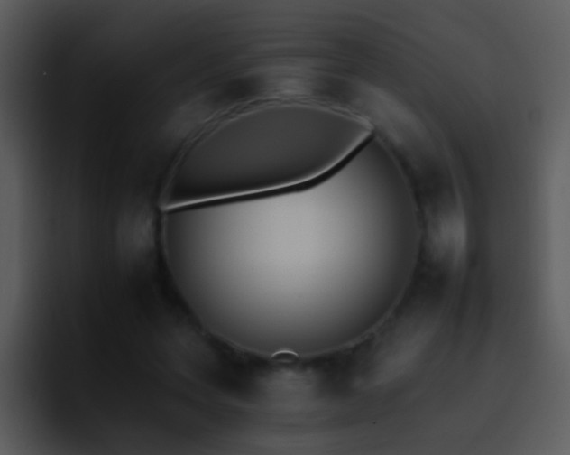 X0000095670543200801081210