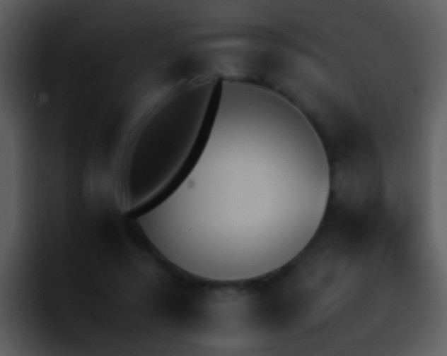 X0000095670544200801081210