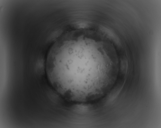 X0000095670545200801081210