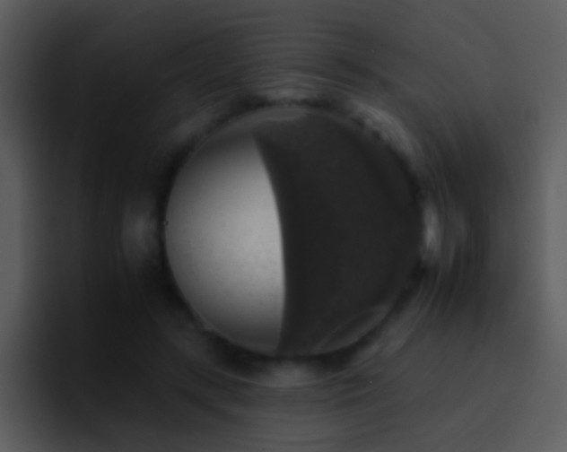 X0000095670547200801081210