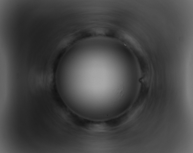X0000095670548200801081210