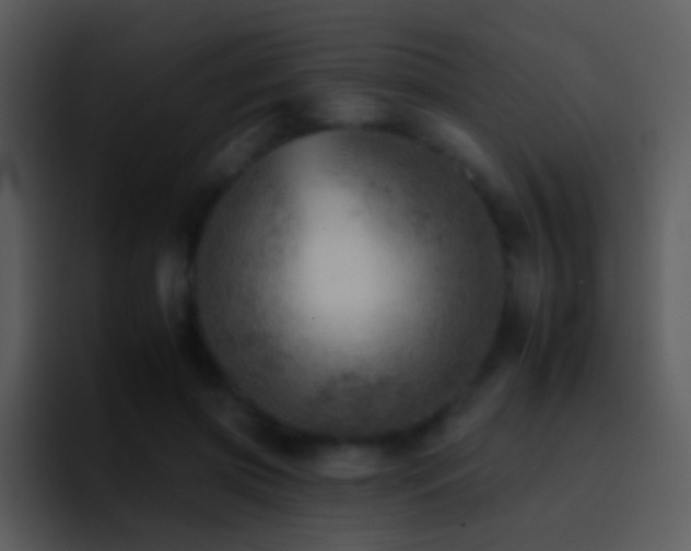 X0000095670549200801081210