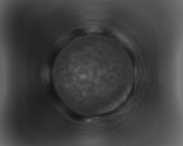 X0000095670550200801081210