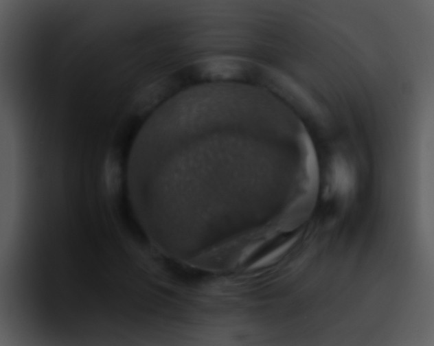 X0000095670551200801081211