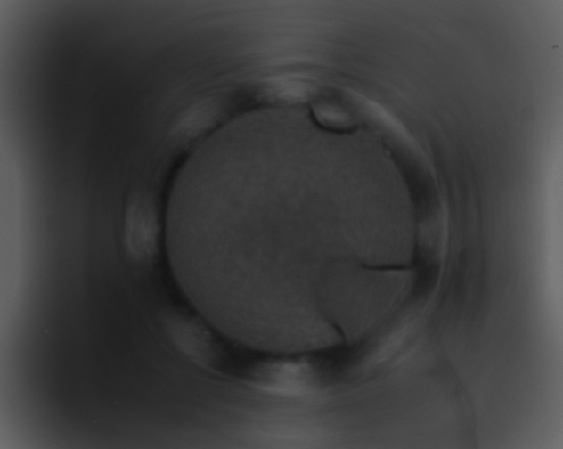 X0000095670552200801081211