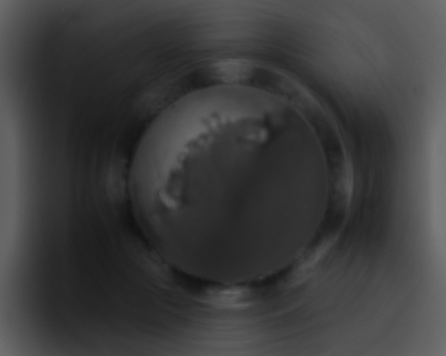 X0000095670553200801081211