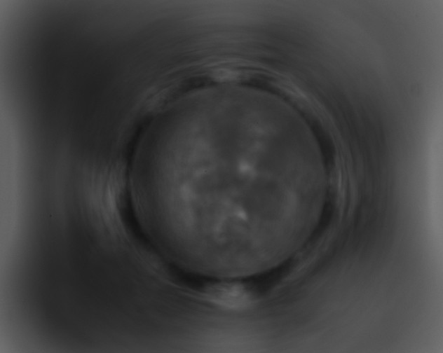 X0000095670554200801081211