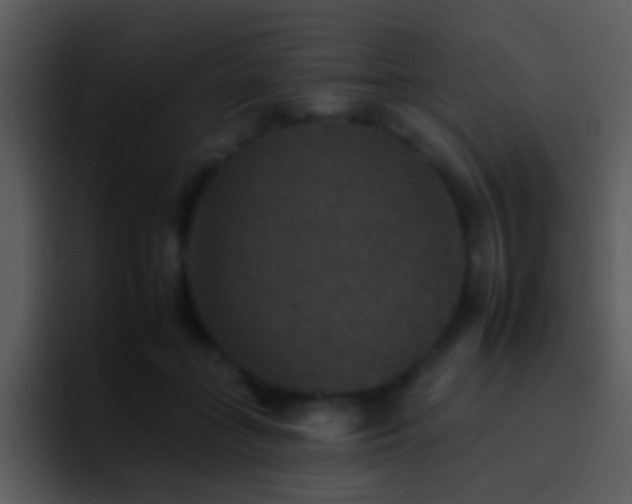 X0000095670555200801081211