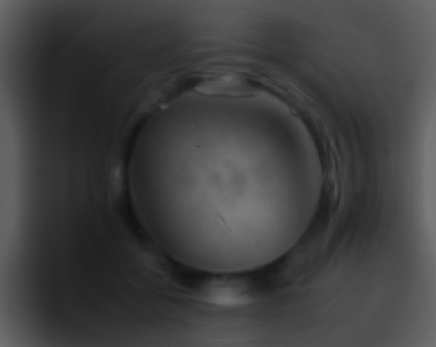 X0000095670556200801081211