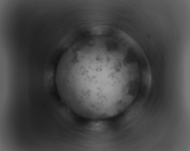 X0000095670557200801081211