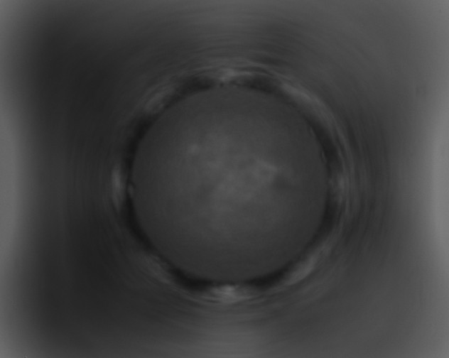 X0000095670558200801081211