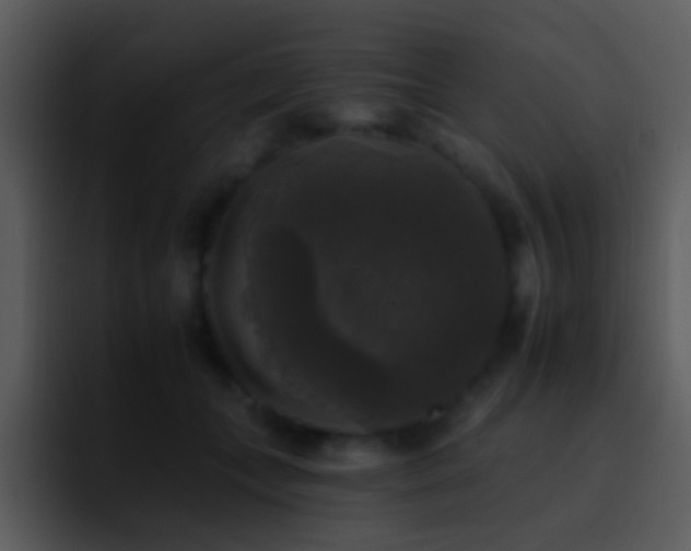 X0000095670559200801081211