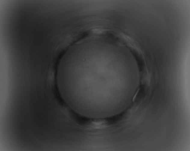X0000095670560200801081211