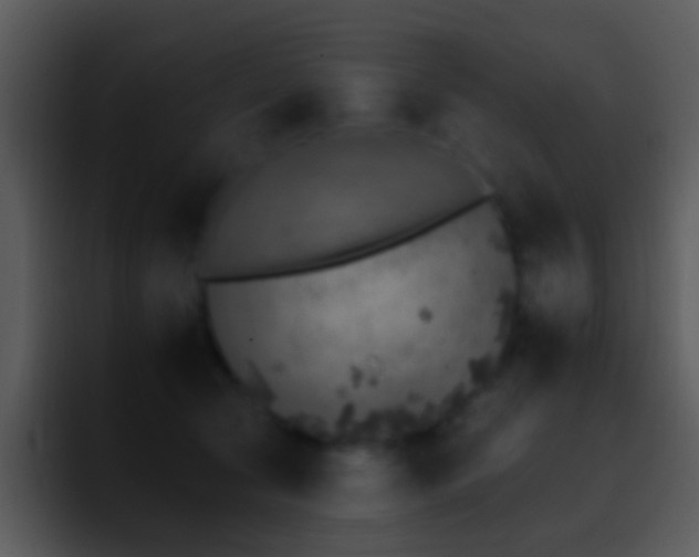 X0000095670561200801081211