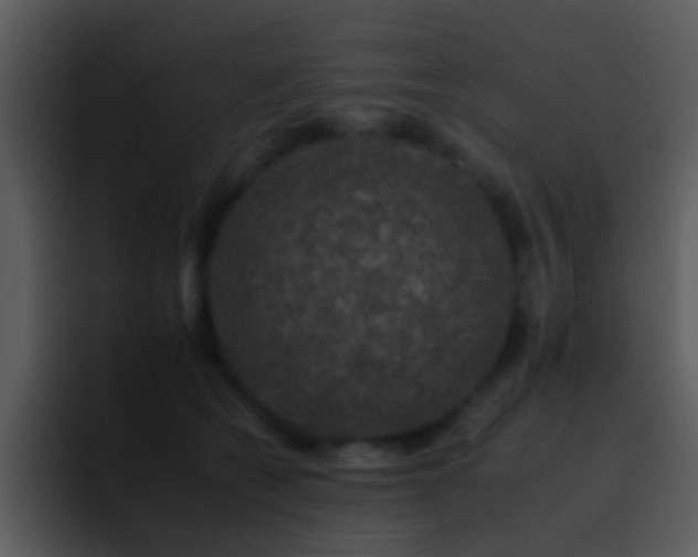 X0000095670562200801081211