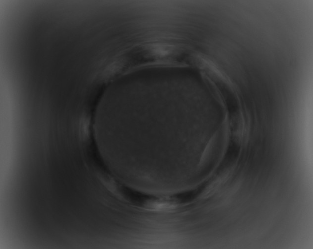 X0000095670563200801081211