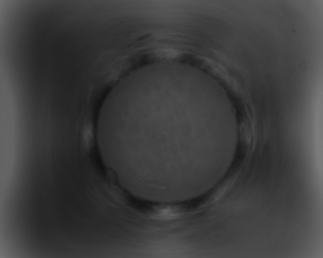 X0000095670564200801081211