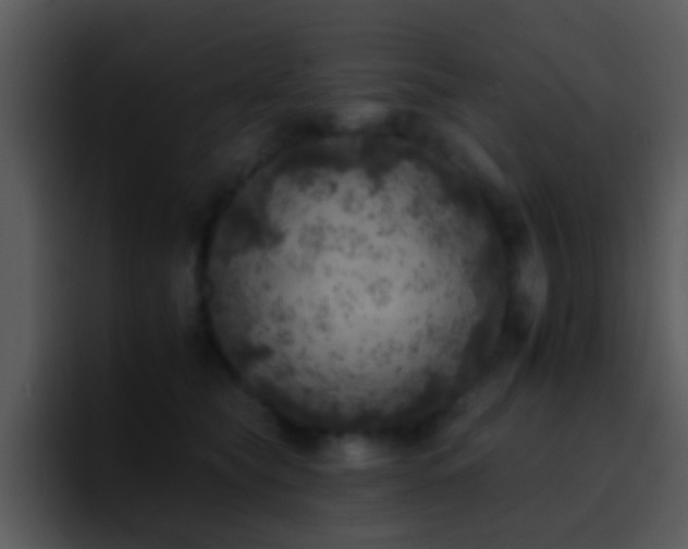 X0000095670565200801081211