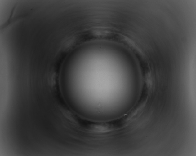 X0000095670567200801081211