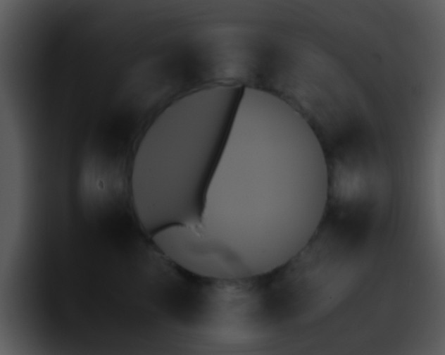 X0000095670569200801081211